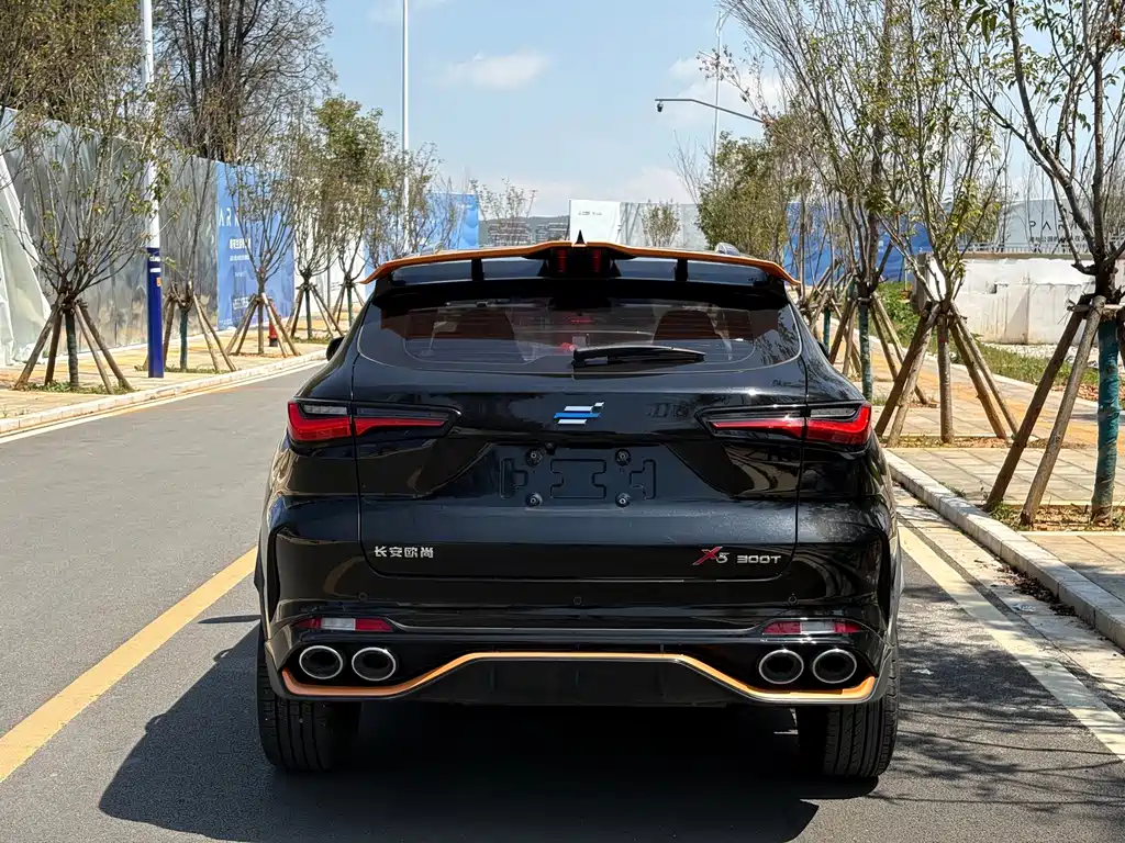 Oshan Oushang X5 — миниатюра 14