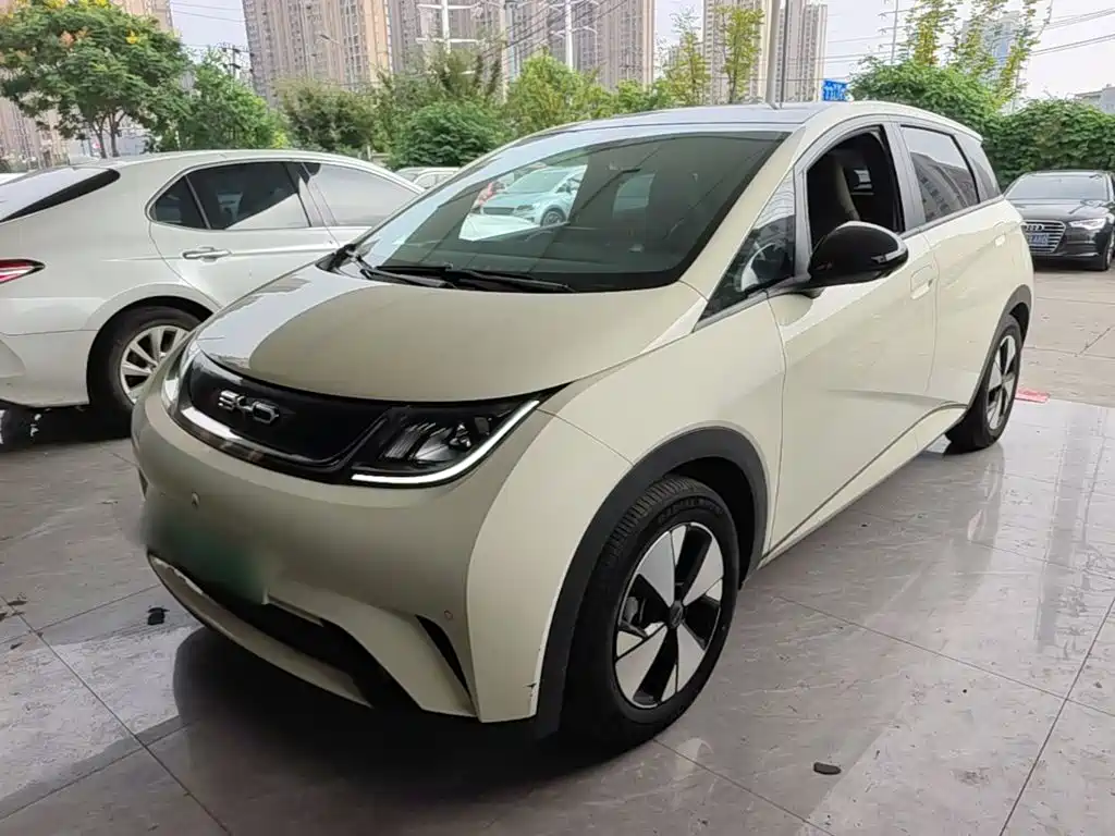 BYD Dolphin — миниатюра 2