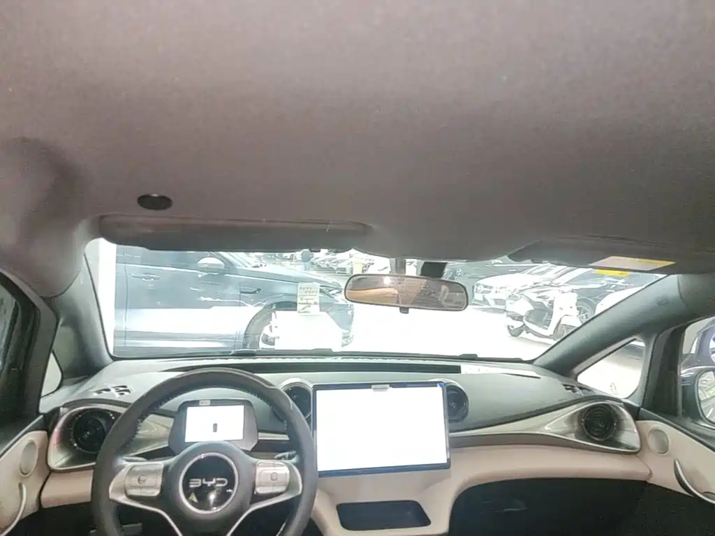 BYD Dolphin — миниатюра 18