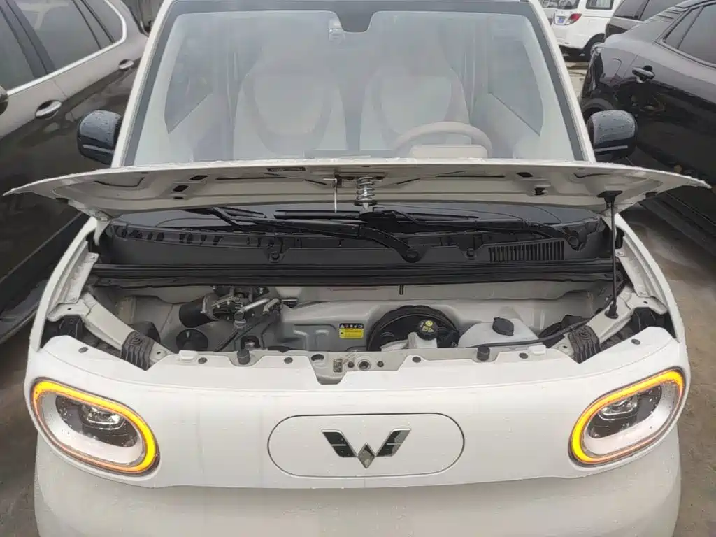 Wuling MINIEV — миниатюра 20