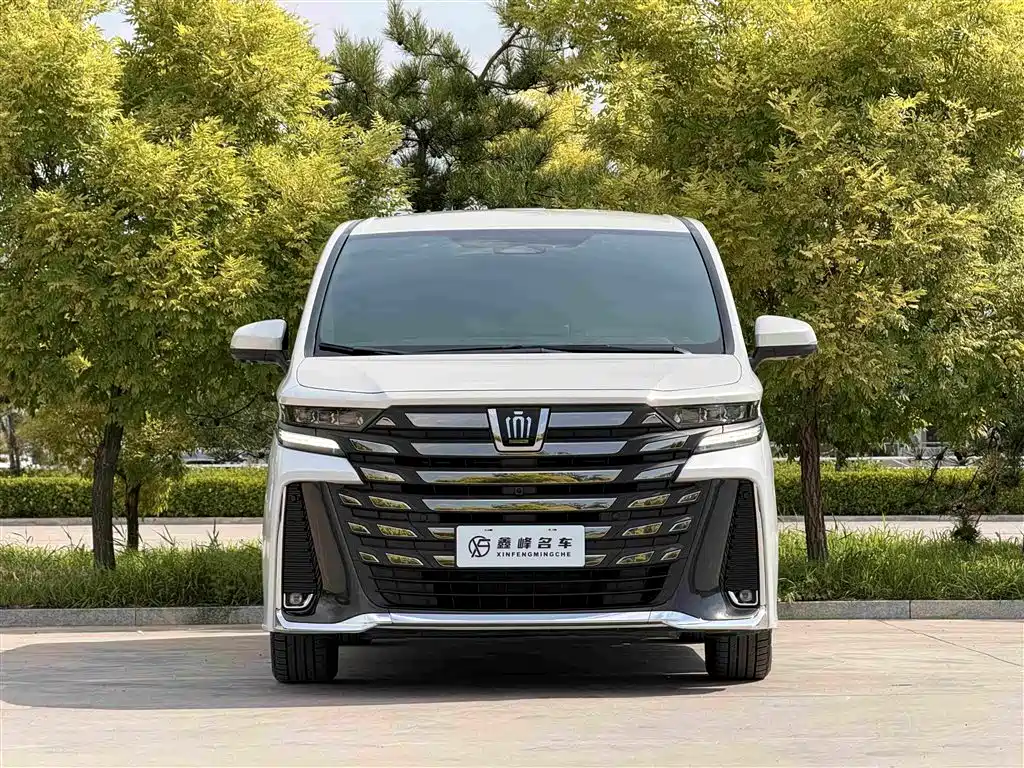 Toyota Vellfire 2024 2.5L Executive