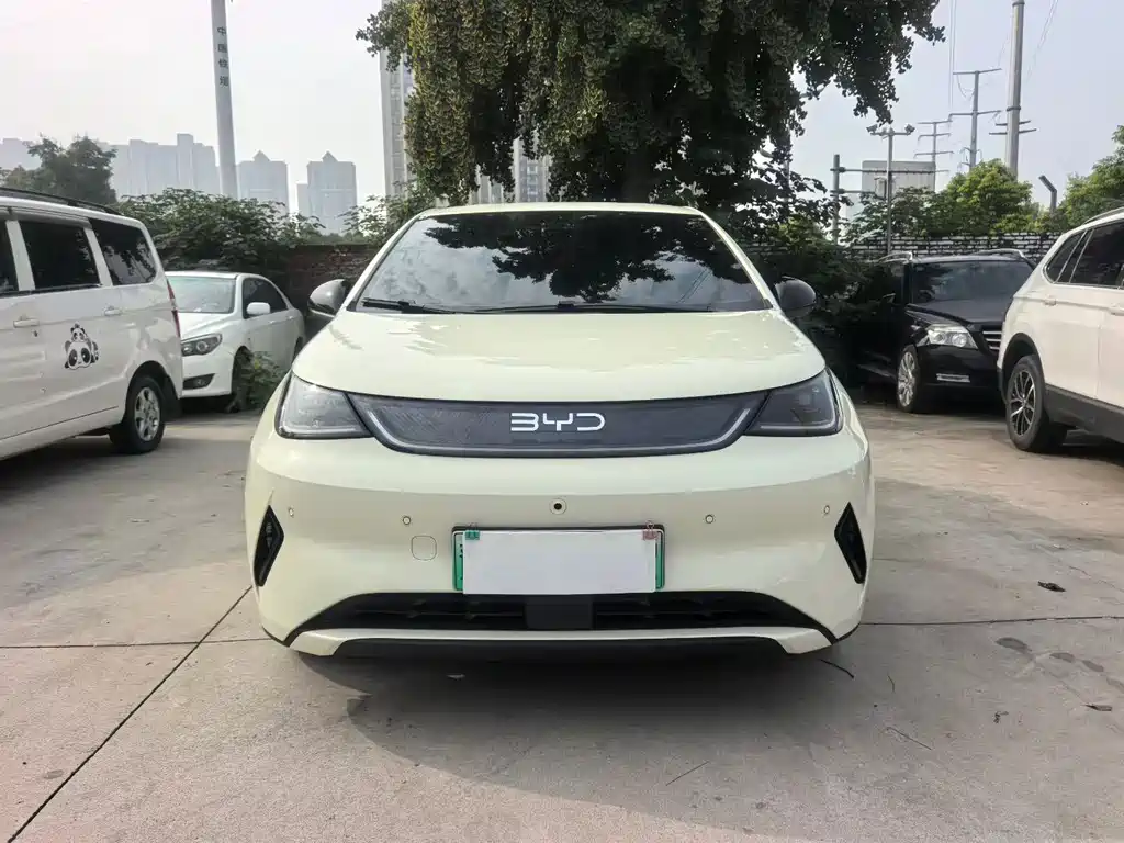 BYD Dolphin — миниатюра 2
