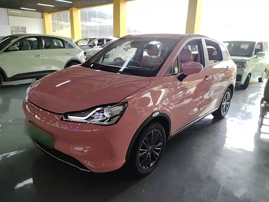 Neta Neta V — миниатюра 2