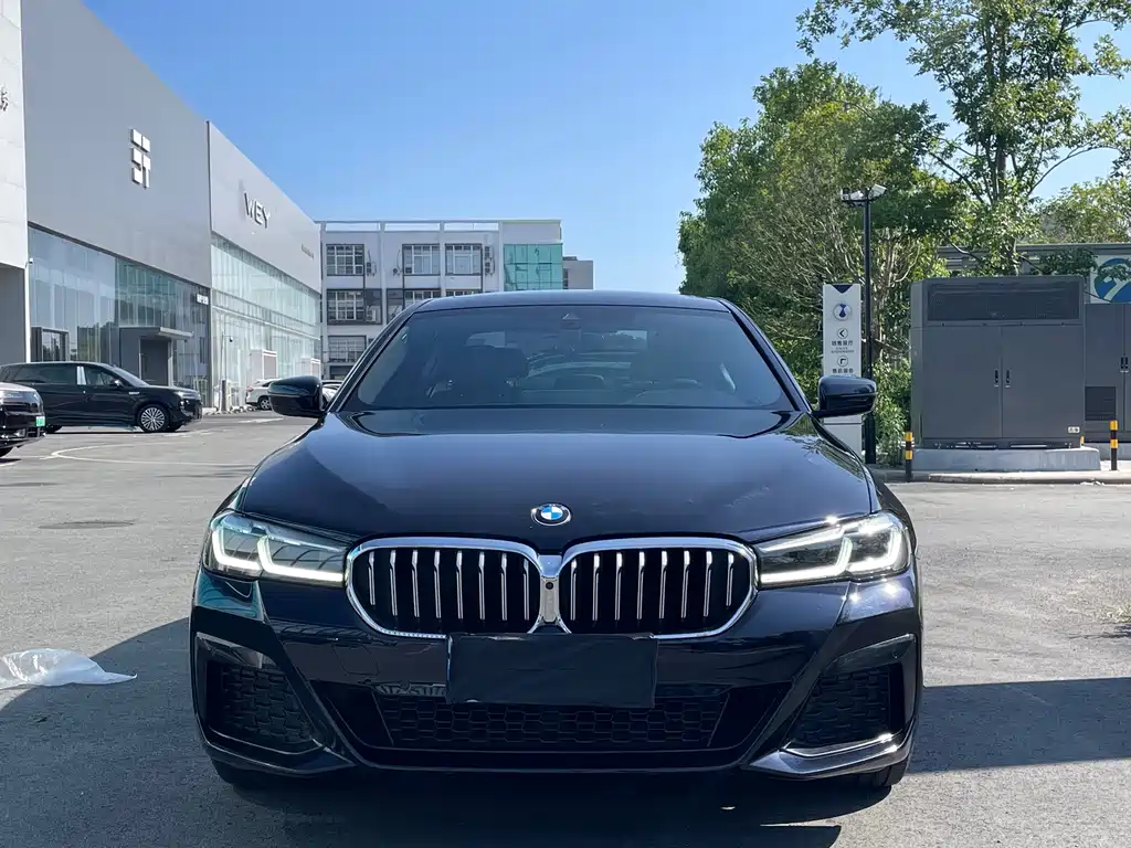BMW 5 Series — миниатюра 2