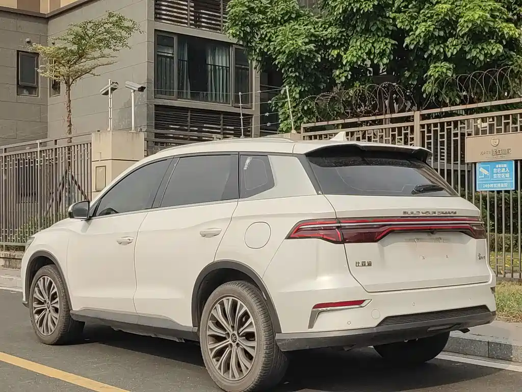 BYD Pro New Energy — миниатюра 4