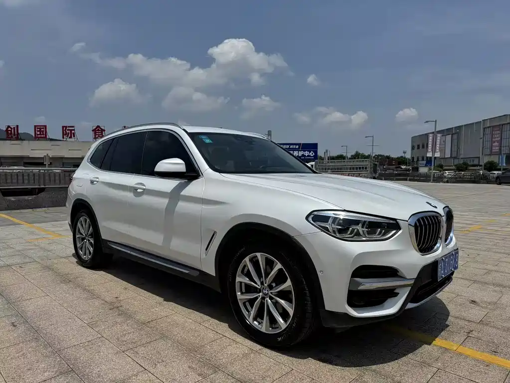BMW X3 2019 xDrive25i Luxury