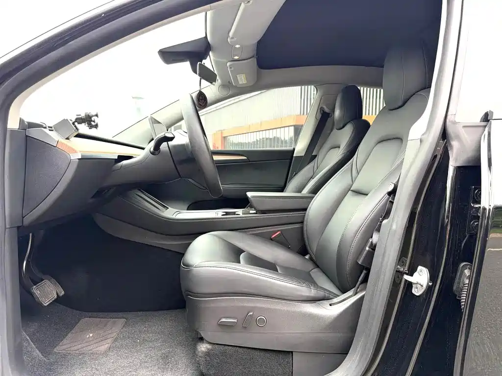 Tesla Model Y — миниатюра 4