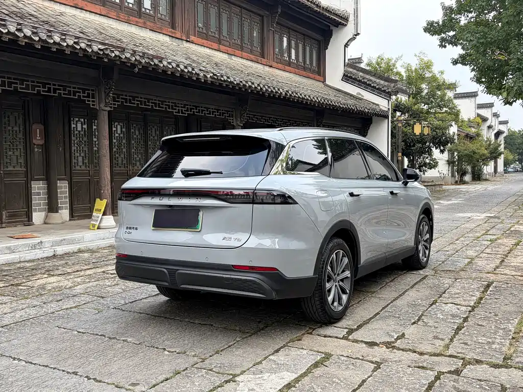 Fulwin Fengyun T9 — миниатюра 7
