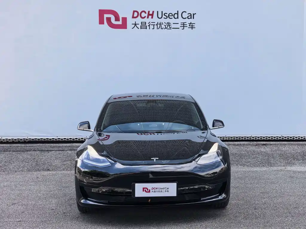 Tesla Model 3 — миниатюра 3