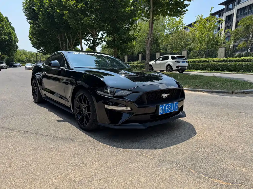 Ford Mustang — миниатюра 3