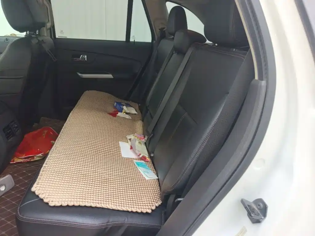 Ford Edge (Import) — миниатюра 17