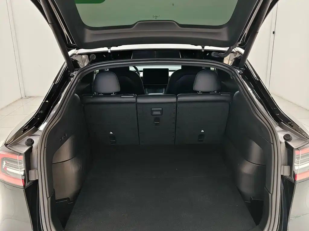 Tesla Model Y — миниатюра 18