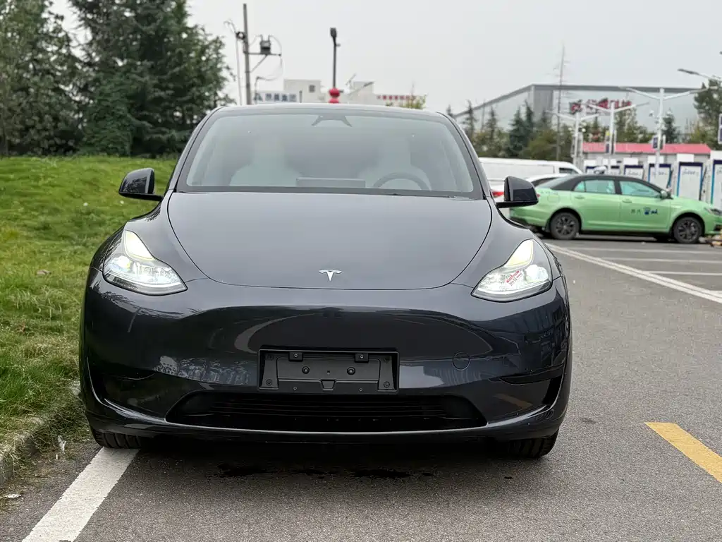 Tesla Model Y — миниатюра 2