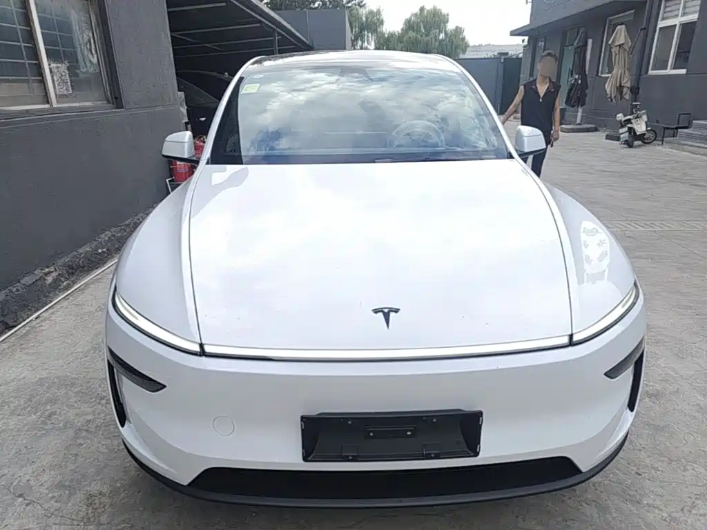 Tesla Model Y — миниатюра 3