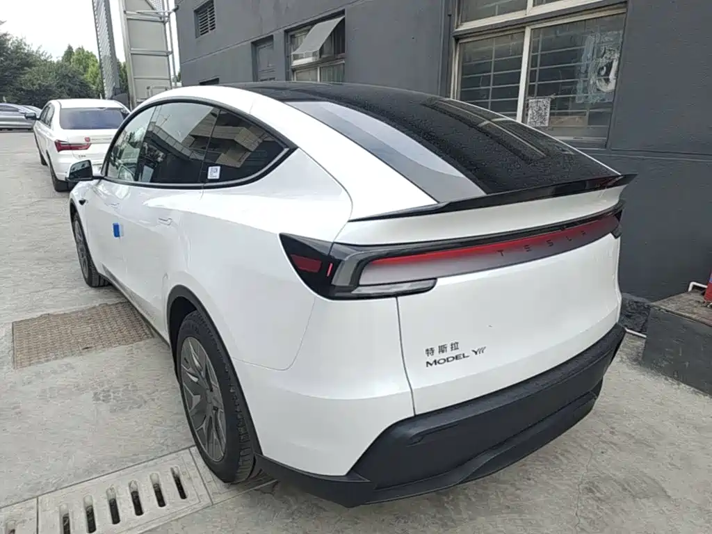 Tesla Model Y — миниатюра 5