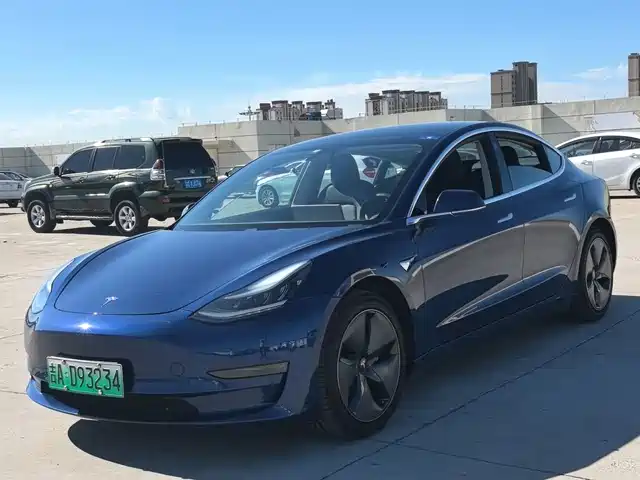 TESLA MODEL 3 2019