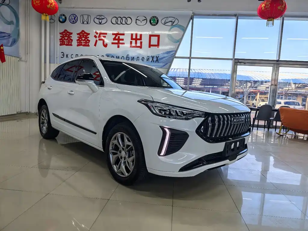 Haval Chitu — миниатюра 3