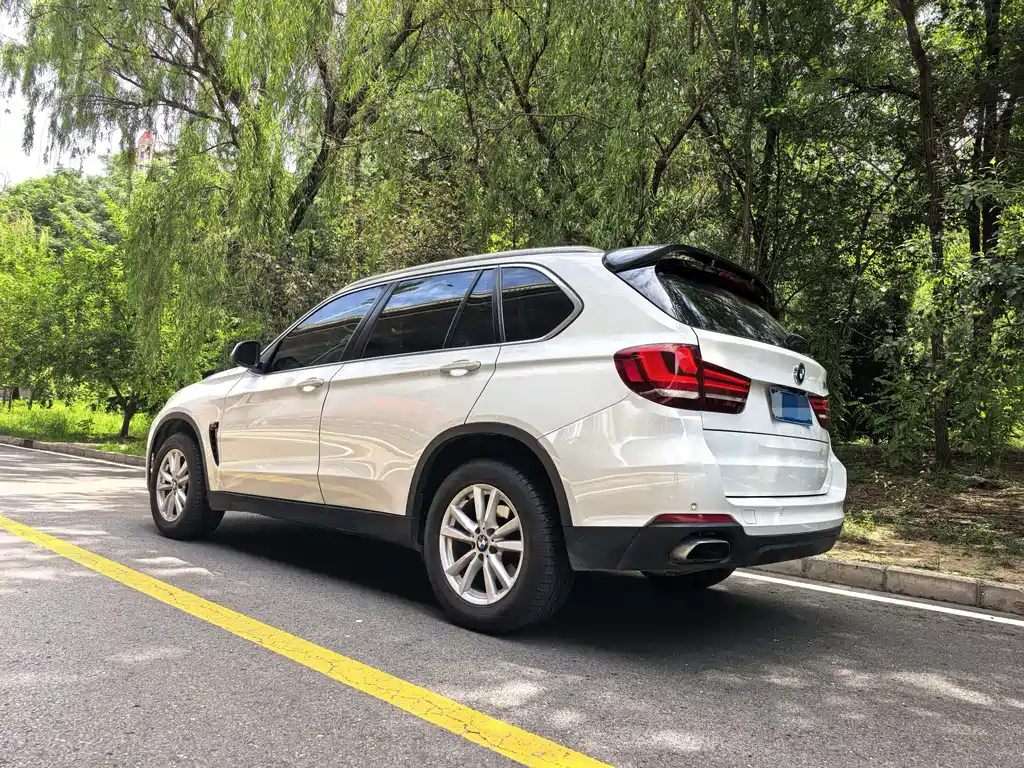 BMW X5 2018 xDrive35i Elegant
