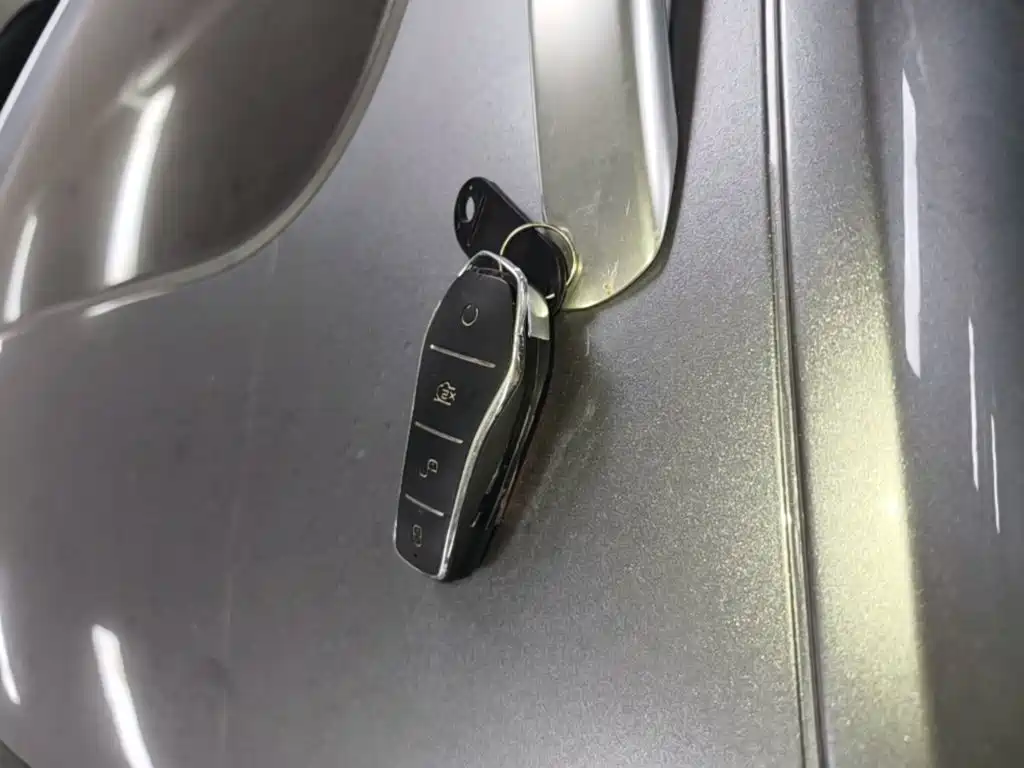 BYD Pro New Energy — миниатюра 9