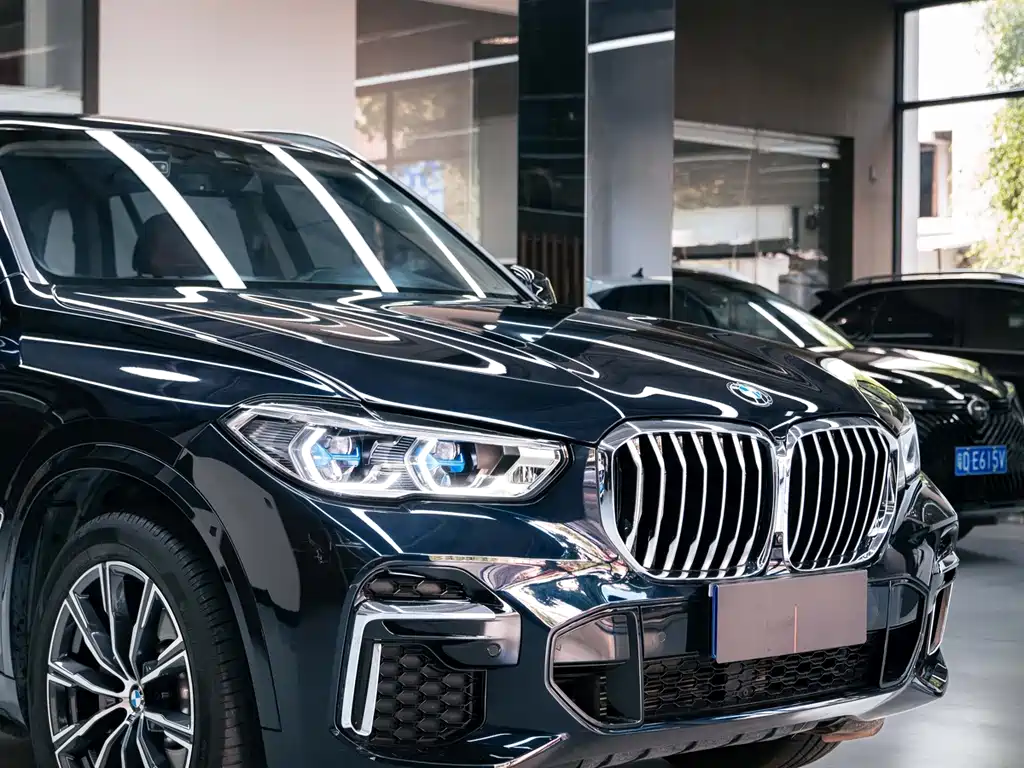 BMW X5 — миниатюра 7
