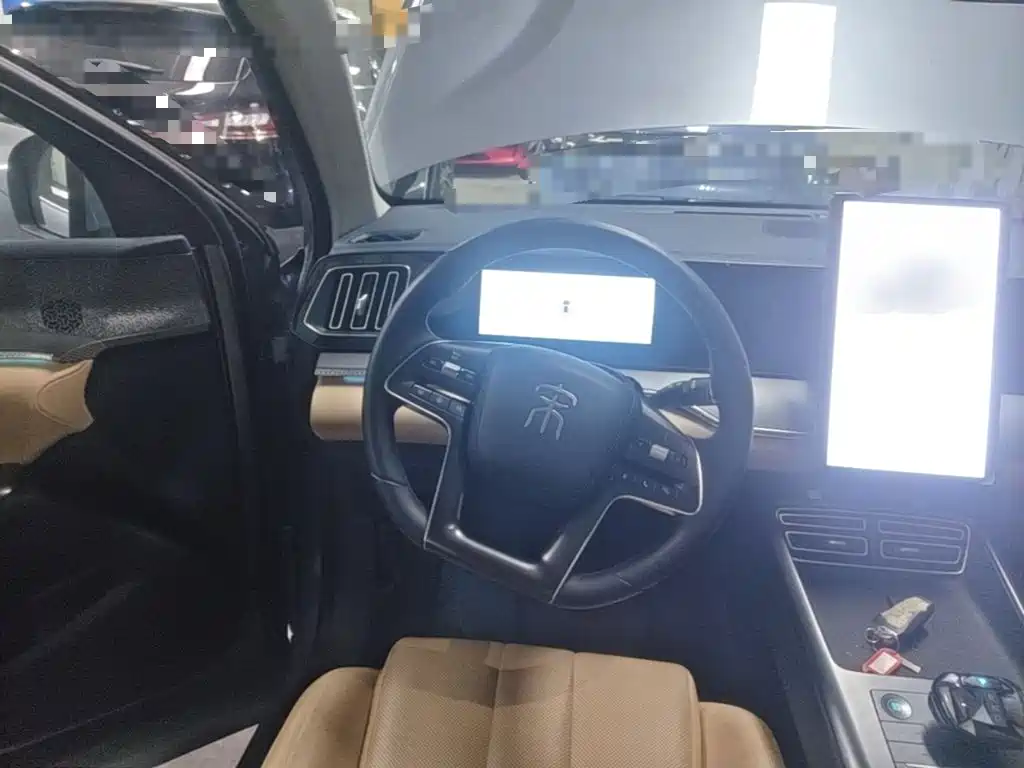 BYD Pro New Energy — миниатюра 11