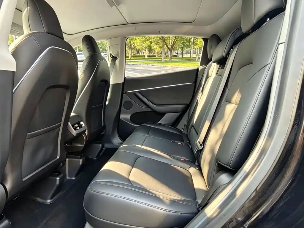Tesla Model Y — миниатюра 9