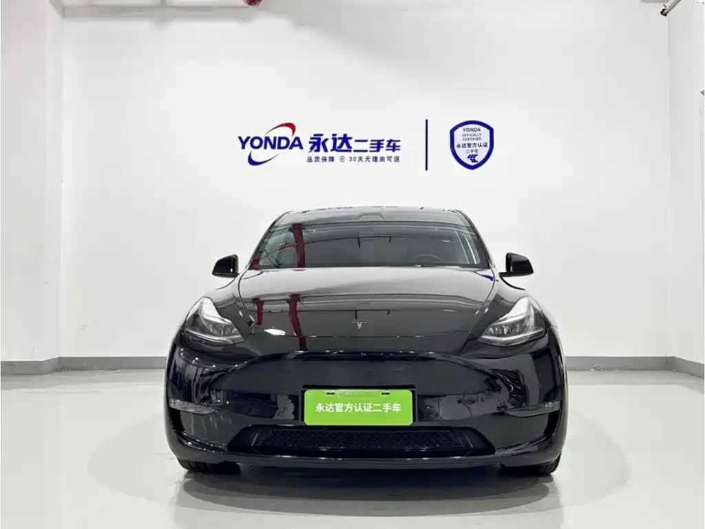 Tesla Model Y — миниатюра 3