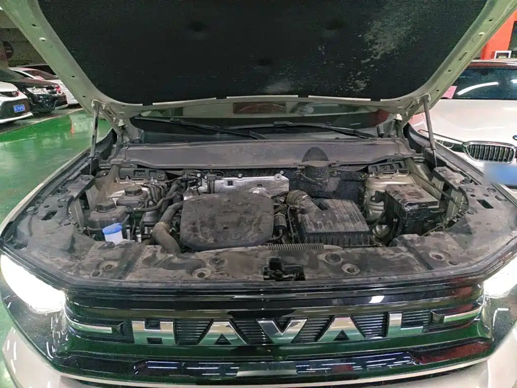 Haval Big Dog PLUS New Energy — миниатюра 20