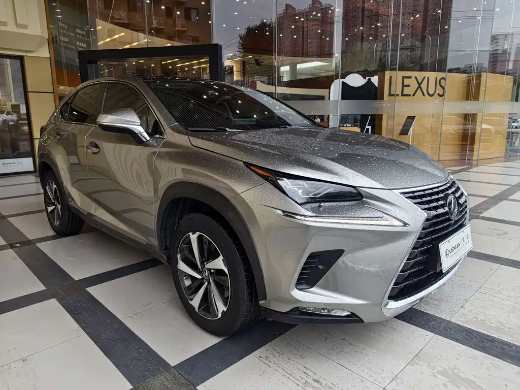 Lexus NX — миниатюра 13