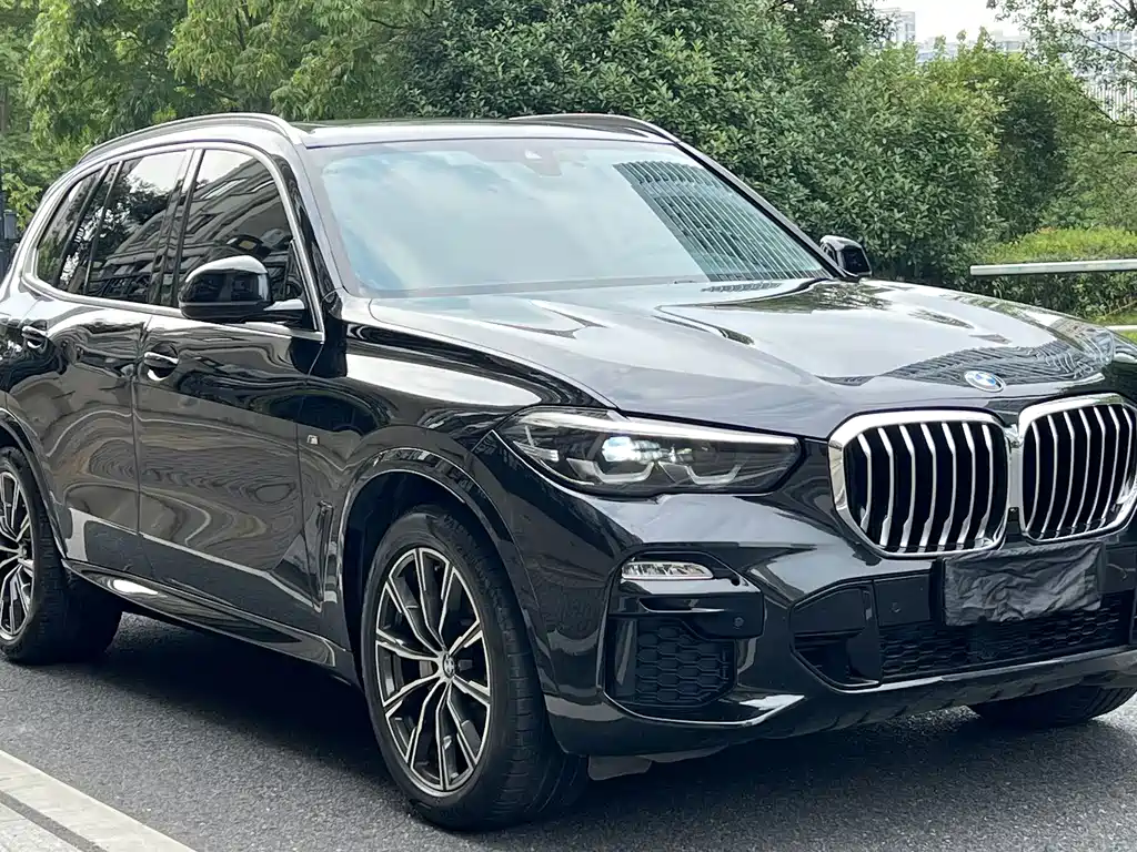 BMW X5 (Import) — миниатюра 7