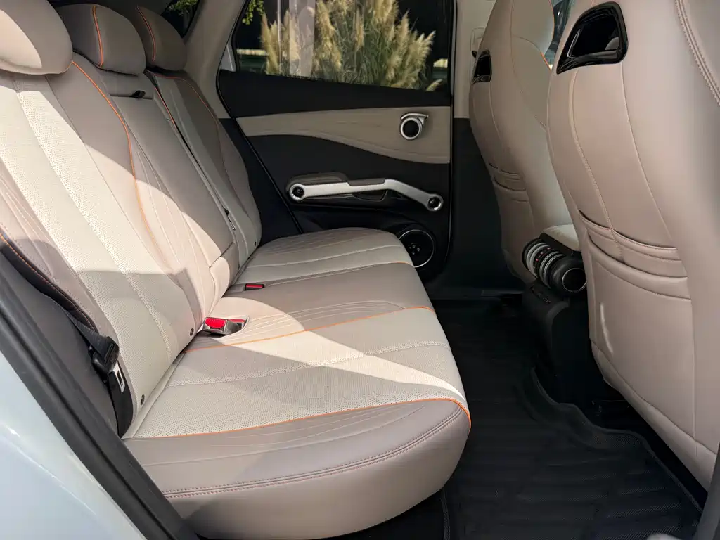 BYD Yuan Plus — миниатюра 15