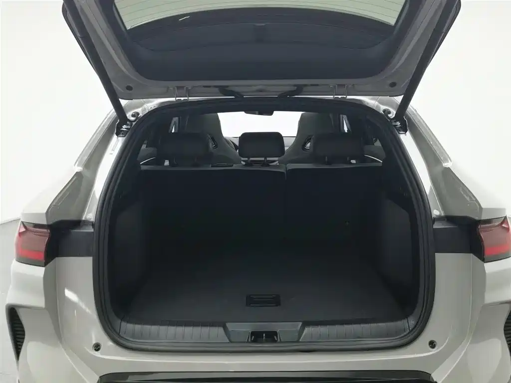 BYD SONGJIANG NEW ENERGY