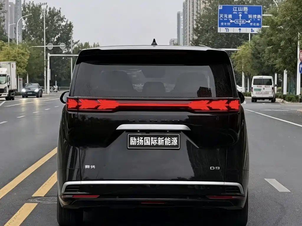 Denza Denza D9 — миниатюра 8