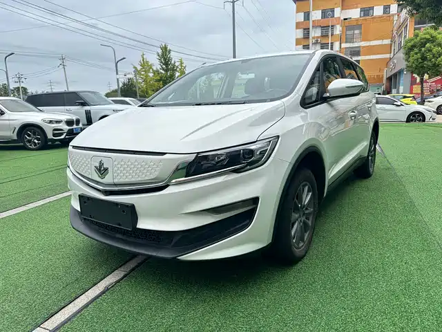 ruilan-automobile maple-leaf-80v