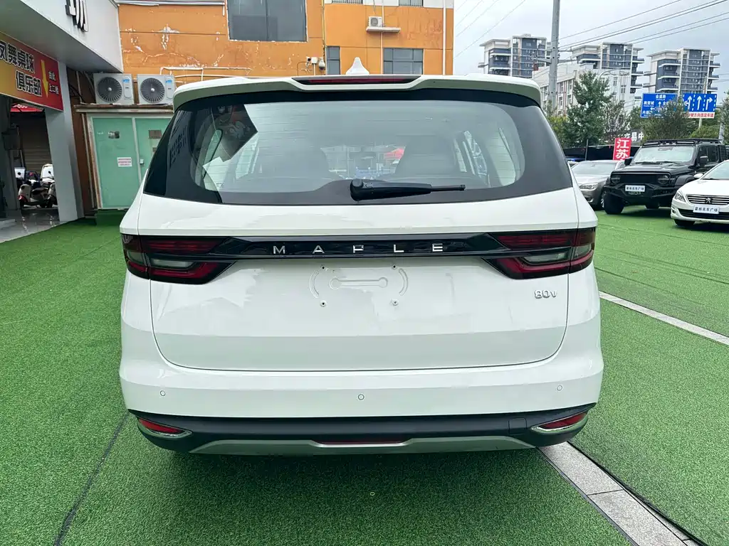 RUILAN AUTOMOBILE MAPLE LEAF 80V