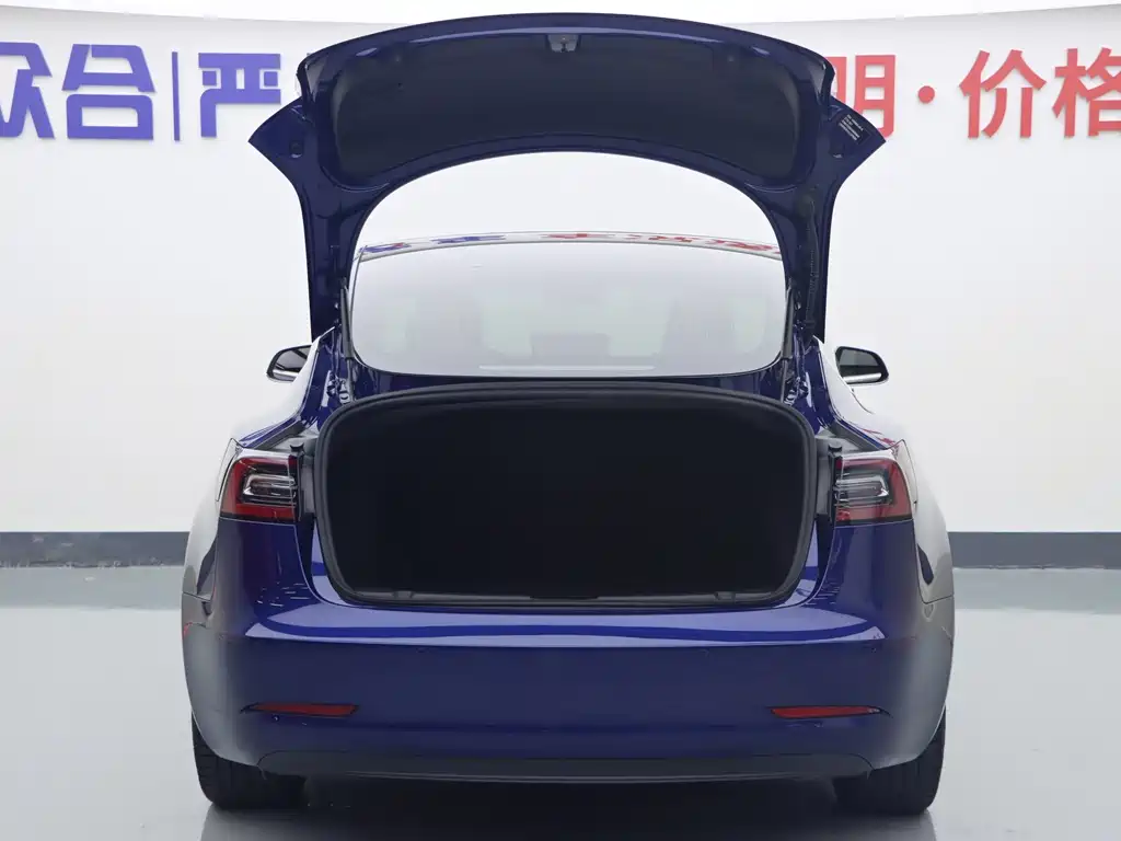Tesla Model 3 — миниатюра 21