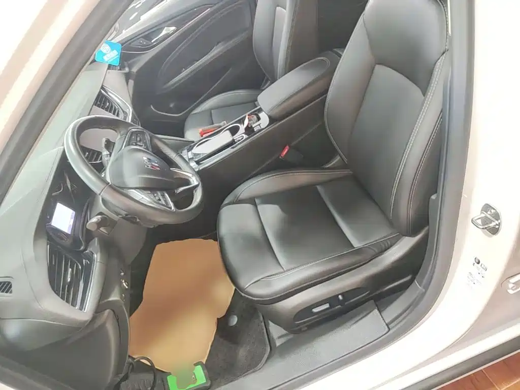 Buick Regal — миниатюра 15