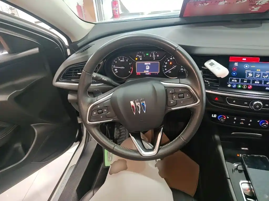Buick Regal — миниатюра 11