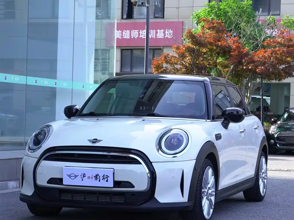 Mini Mini 2022