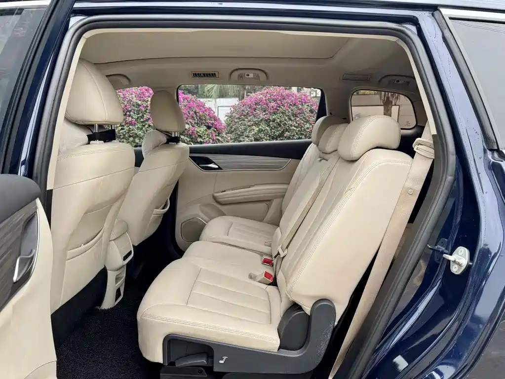 BYD SONGJIANG NEW ENERGY