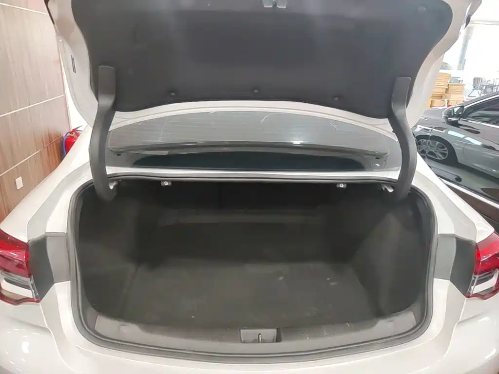 Buick Regal — миниатюра 19