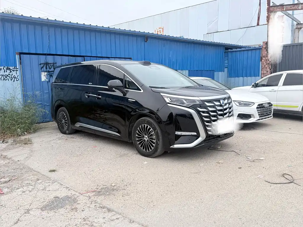 Denza Denza D9 — миниатюра 3