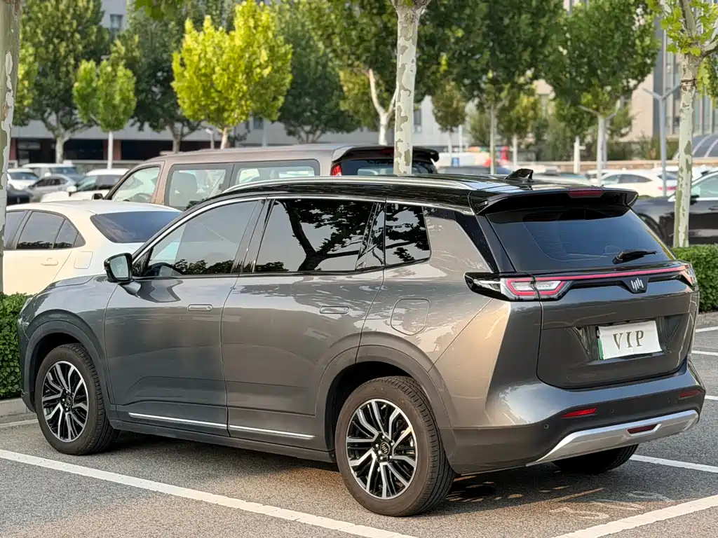 WM Motor W6 — миниатюра 5