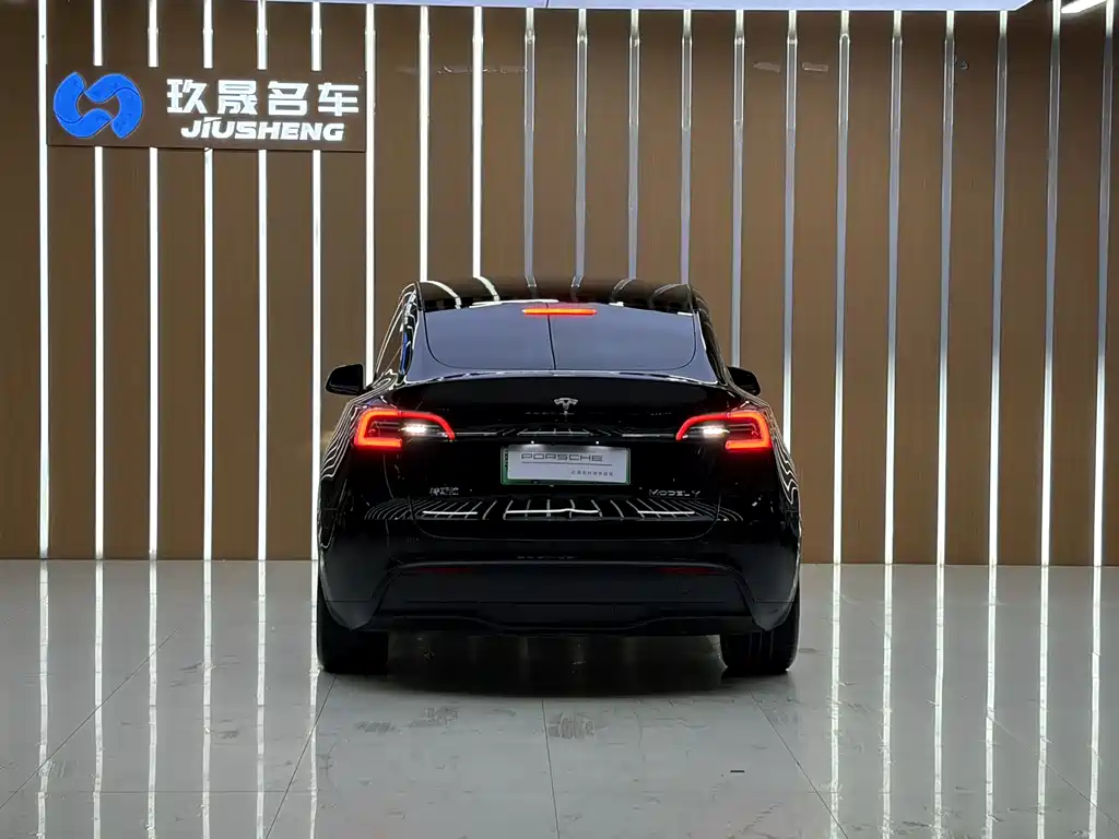 Tesla Model Y — фотографии объявления, Фото 20