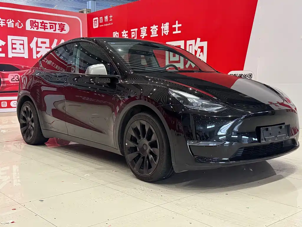 Tesla Model Y — миниатюра 3