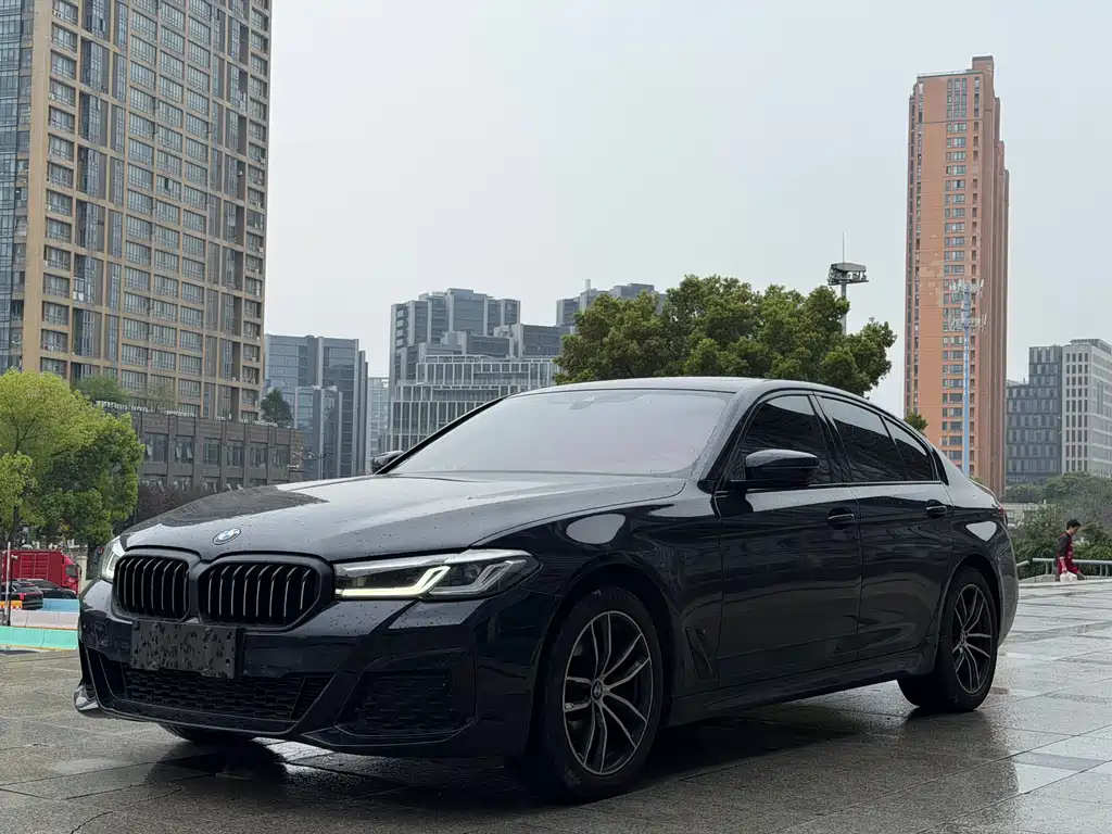 BMW 5 Series (Import) 2021