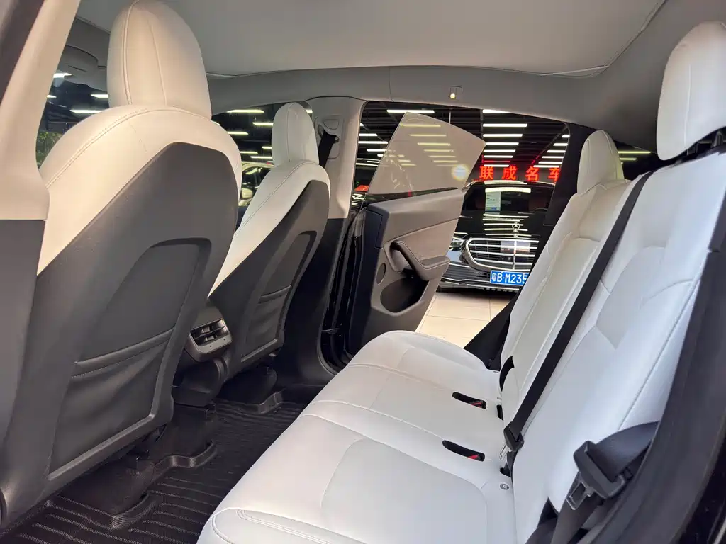 Tesla Model Y — миниатюра 18