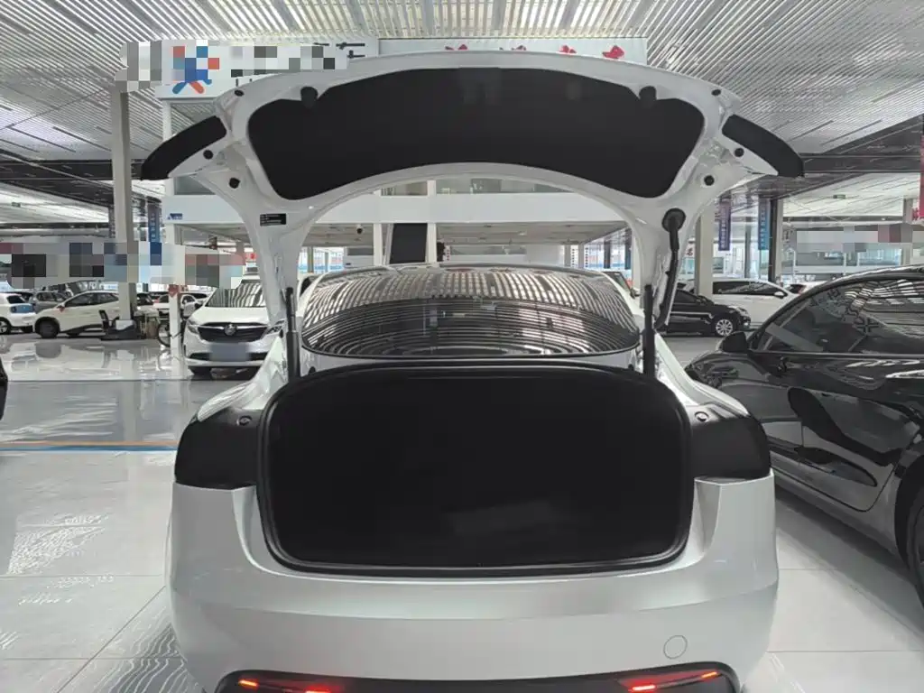 Tesla Model 3 — миниатюра 19