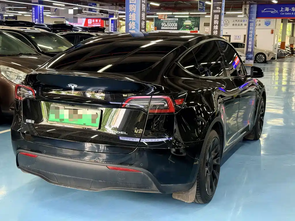 Tesla Model Y — миниатюра 5