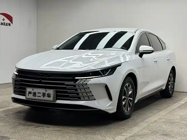 2024 BYD Destroyer